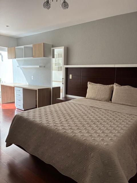 Imagen de galería 6